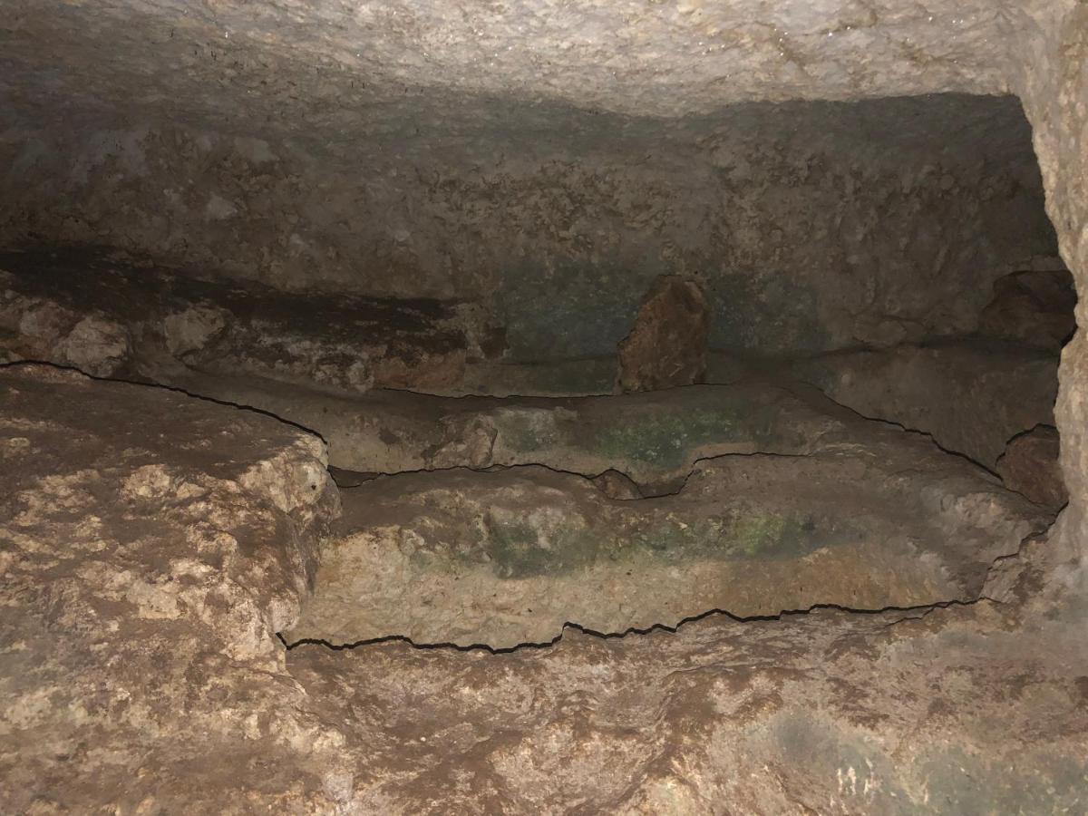 Mundus Terrae Villa Casa della Contessa Dış mekan fotoğraf