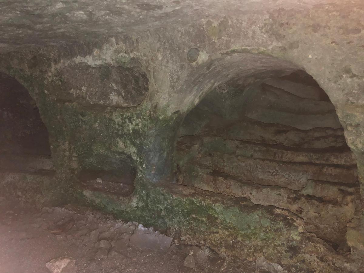 Mundus Terrae Villa Casa della Contessa Dış mekan fotoğraf
